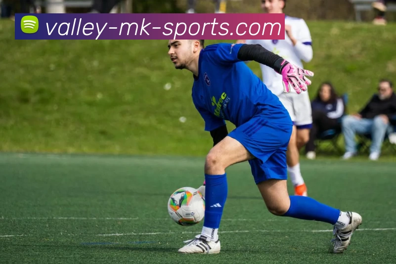 mk体育平台生态图