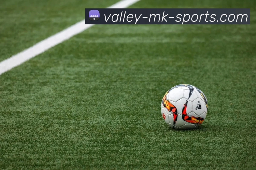 App 展示图